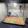 fish tank Image 2