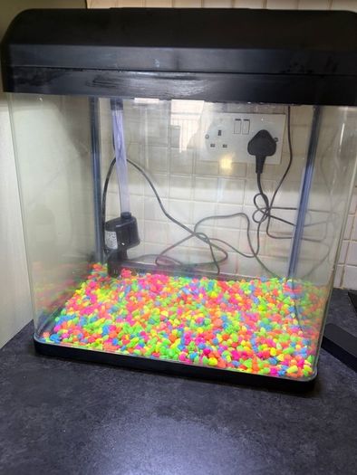 fish tank