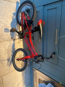 Giant ARX Kids Bike
