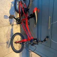 Giant ARX Kids Bike