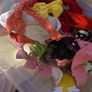 bows Image 2
