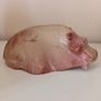 Hippopotamus Figure Image 3