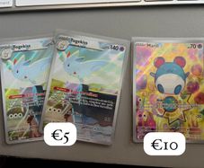 Pokemon ascended heroes