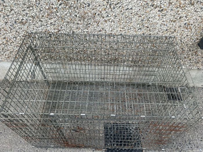 Extra large dog cage