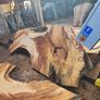 hardwood Image 8