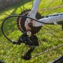 adult bike Image 3