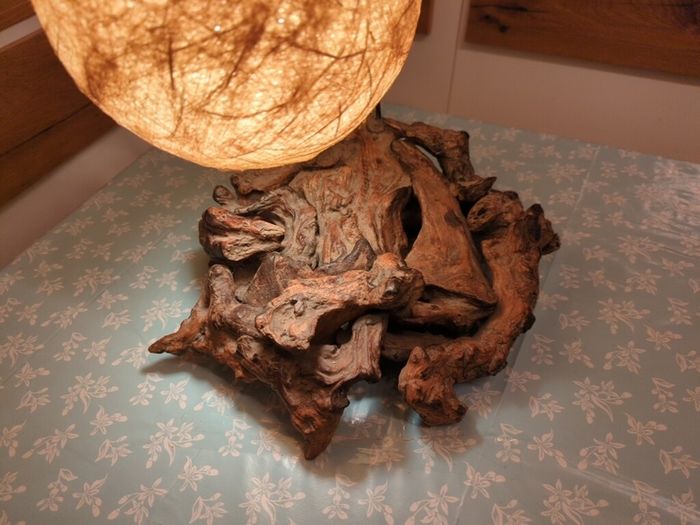 Bog wood lamp