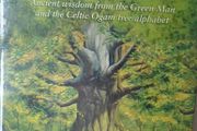 Spirit of Nature Oracle cards, Ogham , Celtic tree cards,Oracle cards