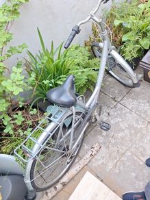 Bike Giant expression