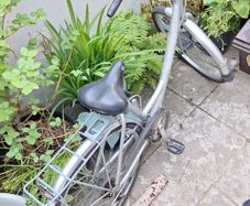 Bike Giant expression
