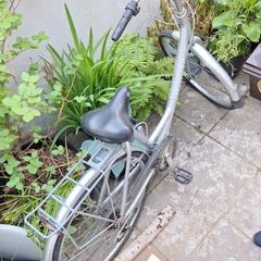 Bike Giant expression