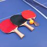 Table Tennis Table Image 4