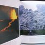 SALE!  VOLCANO - Portrait Of A World On Fire by Donna O'Meara Image 6