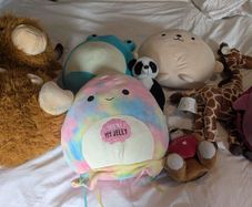 teddies
