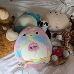 teddies