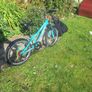 Girls Bike Image 4