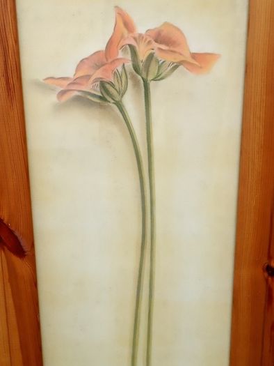Beautiful Set of 2 Large Flower Pictures