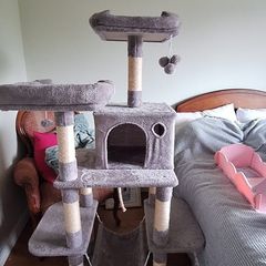Cat Tree