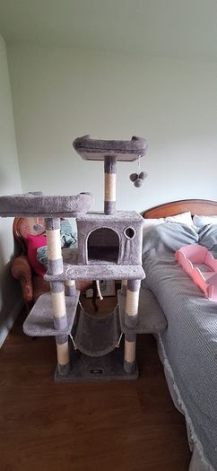 Cat Tree