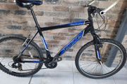 Mountain bike( can deliver)
