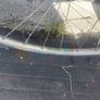 Campagnolo 9 speed wheelset Image 3