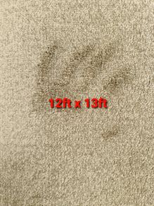 carpet 12 x 13ft