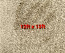 carpet 12 x 13ft