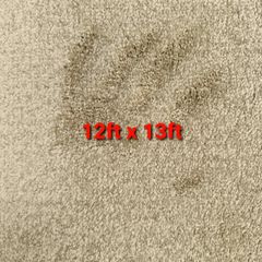 carpet 12 x 13ft
