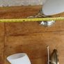 Wall Lights x2 in Brushed Brass Image 6
