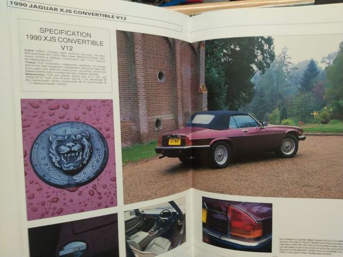 Jaguar: The Enduring Legacy