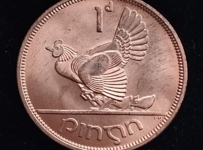 Ireland - 1968 - 1 Penny - Hen with Chicks - KM.11 - [273]