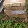 22 Quarry tiles 12by12inch Image 4