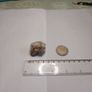 Milky quartz rock Image 2