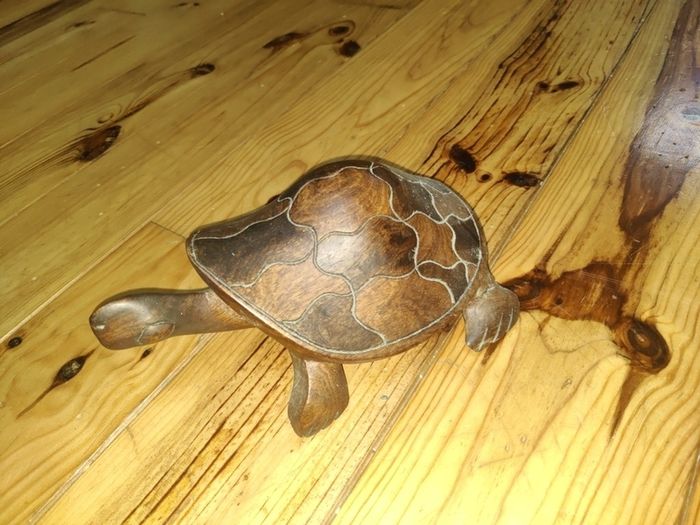 hand crafted wooden turtle