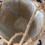 New.plants/flowers basket Image 3