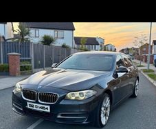 Bmw 518d 2013