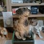 dog figurine Image 6