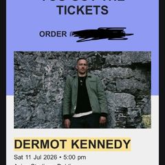 dermot kennedy front pitch standing Saturday