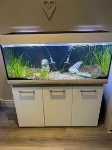 Fish tank