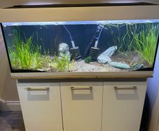 Fish tank