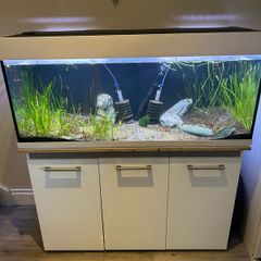 Fish tank