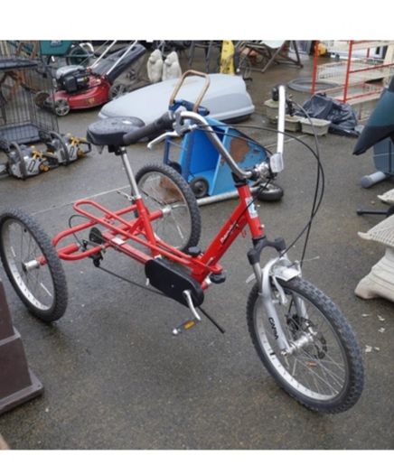 adult trike