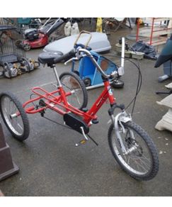 adult trike