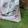 cat litter Image 3