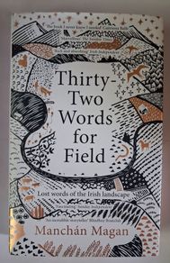 Manchan Magan / Thirty- Two Words for Field /2020