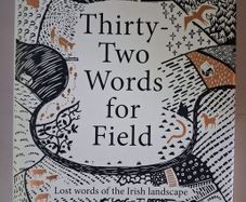 Manchan Magan / Thirty- Two Words for Field /2020