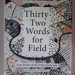 Manchan Magan / Thirty- Two Words for Field /2020
