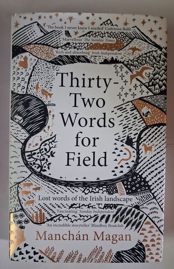 Manchan Magan / Thirty- Two Words for Field /2020
