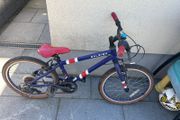 20" Raleigh bike