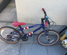 20" Raleigh bike